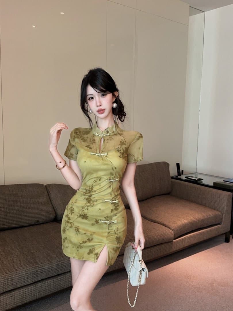 실사 쇼트 스타일 식물 플러시 망사 치파오 드레스 이미지 2