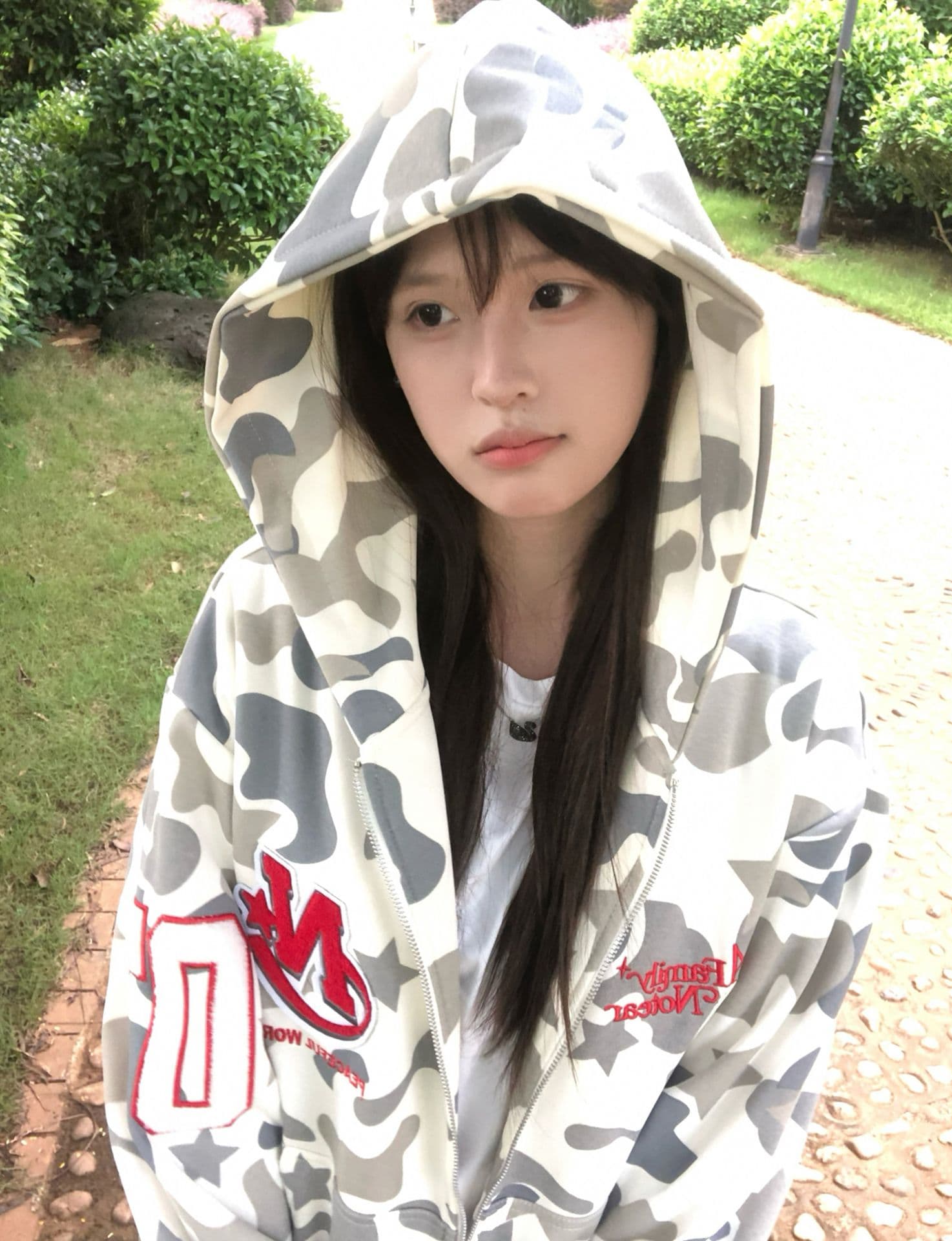 얇은 스타일 털이 있는 백금 지퍼 자수 원본 천 인사이드 펌프 순수한 Mianhua 면 복합 후드티 여성