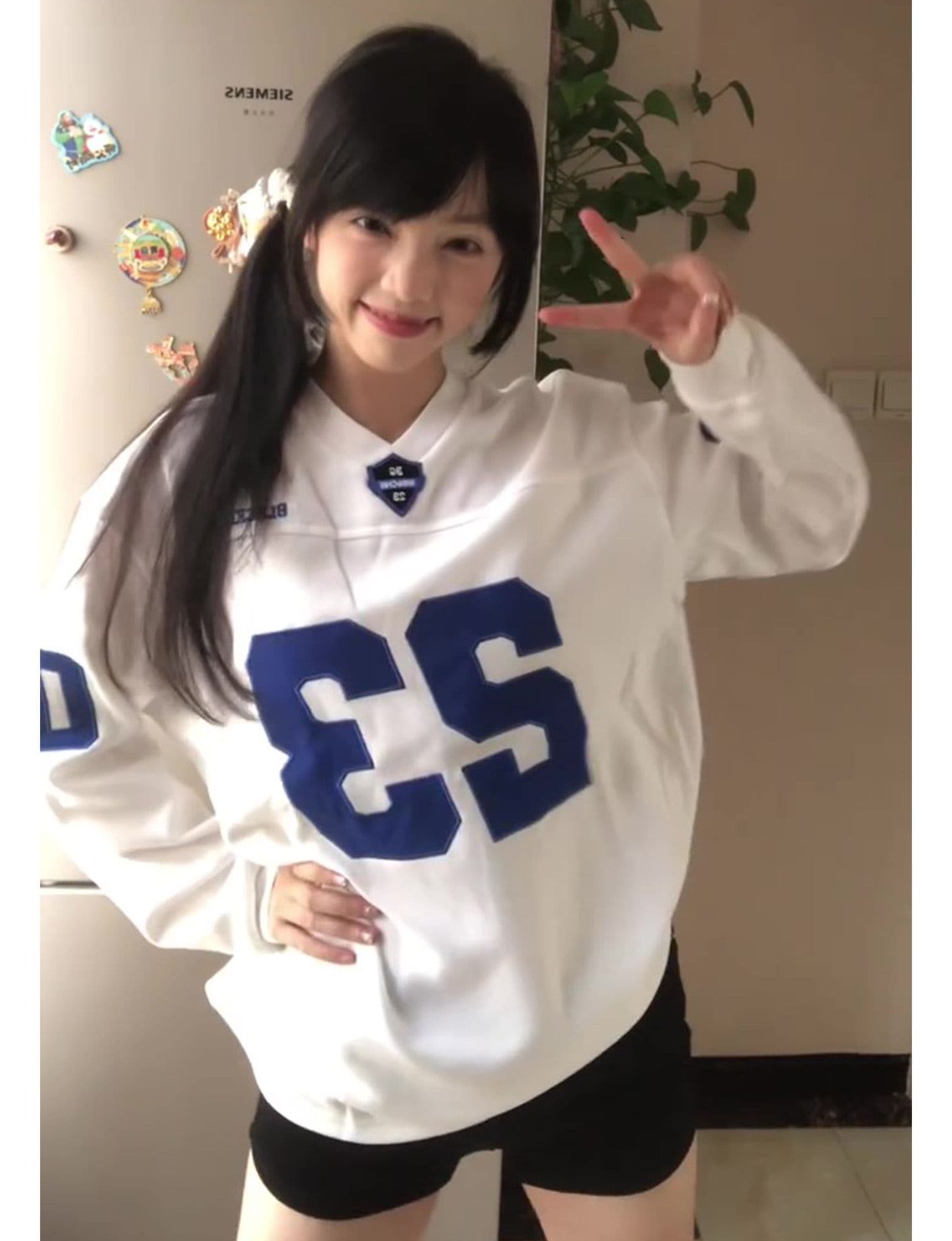 자수 패치 네리 가게 천 순면 220 그램 빗질하다 닫기 길다 자수 티셔츠 여성