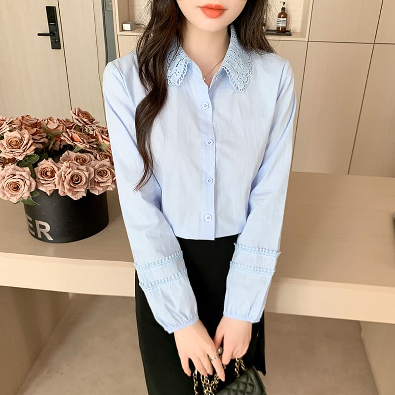 레이스 조각 폴로 칼라 화이트 셔츠 2026 봄 새로운 루즈핏 다용도 품격 연령 감소 맨위 이미지 4