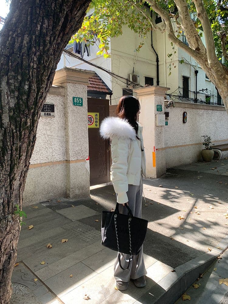 작은 마을 산산 눈 반사하다 阑珊 시뮬레이션 전갈 모피 칼라 면 의류 여성 겨울 방풍 쇼트 스타일 후드 작은 키 재킷 상세 이미지 33