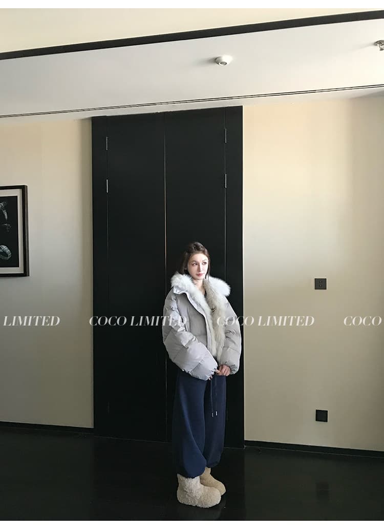 겨울 새로운 쇼트 스타일 아래 면화 의류 여성 모방 여우 모피 칼라 루즈핏 두꺼운 작은 키 한국 스타일 빵 외투 상세 이미지 18