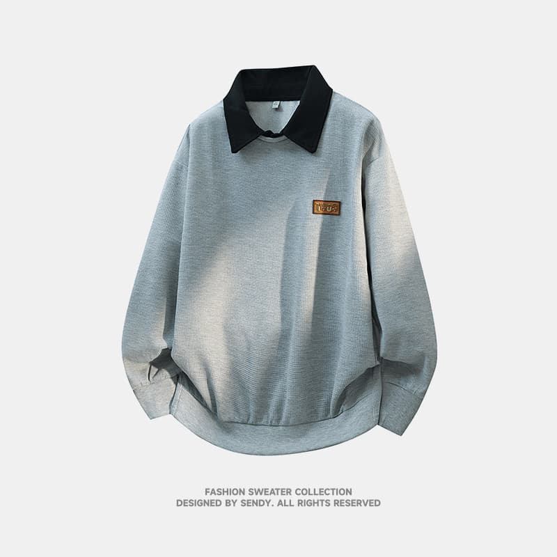 2026 가을 새로운 남성 폴로 칼라 POLO 칼라 후드티 캐주얼 다용도 잘 생긴 청소년 긴팔 티셔츠 맨위 이미지 2