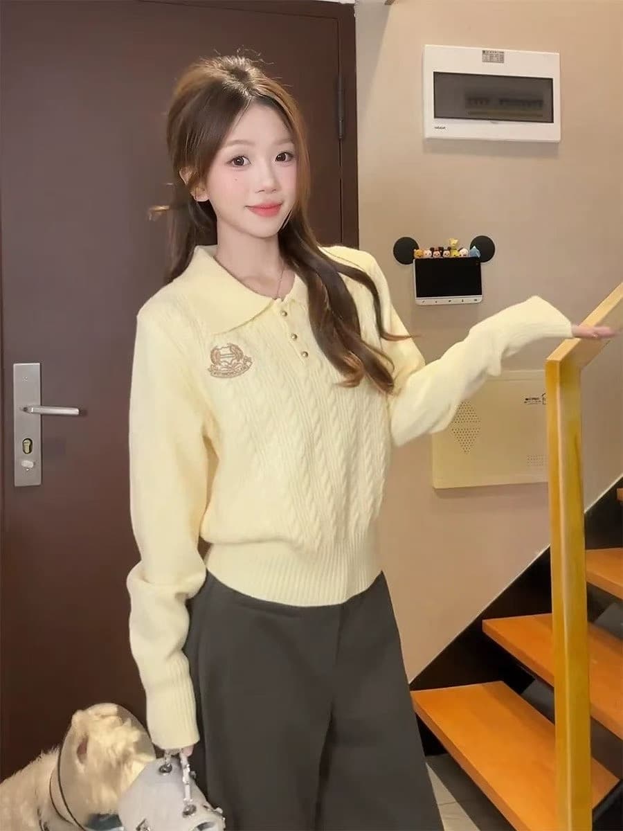 한 부서 학원 스타일 자수 꽈배기 폴로 칼라 니트 스웨터 여성 가을 겨울 몸매 가꾸기 느긋한 고급 센스 인사이드 가져 가라. 만나는 맨위