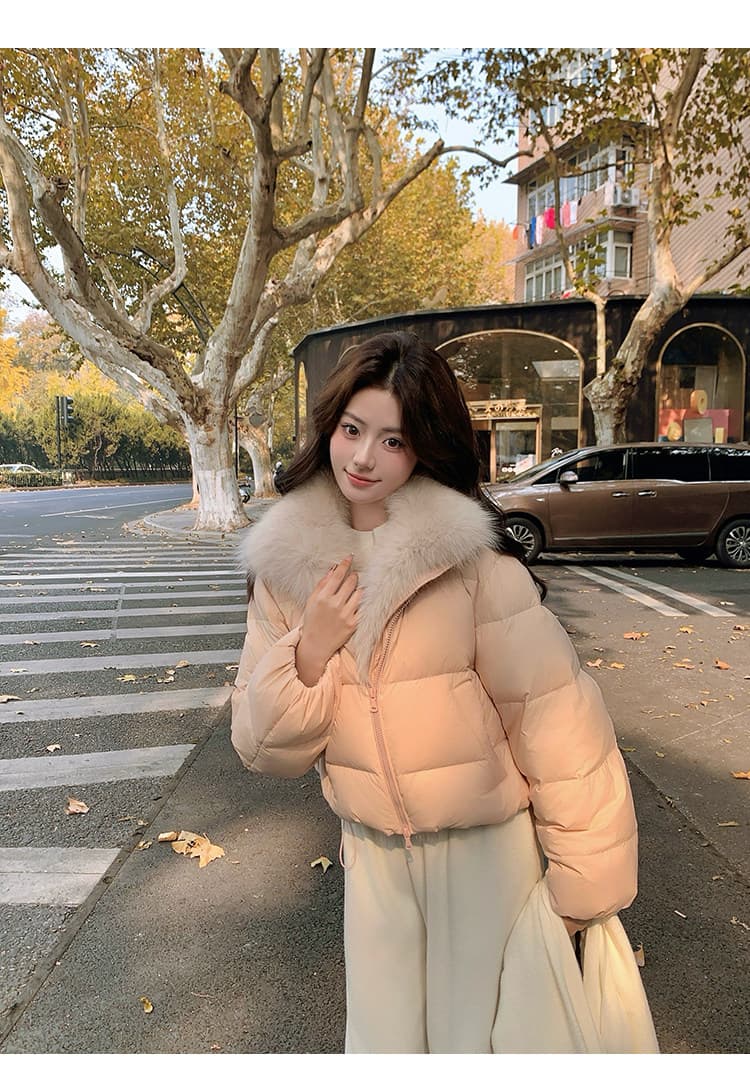 학원 패치워크 쇼트 스타일 아래 면화 의류 여성 모방 여우 모피 칼라 루즈핏 두꺼운 작은 키 한국 스타일 빵 외투 상세 이미지 52