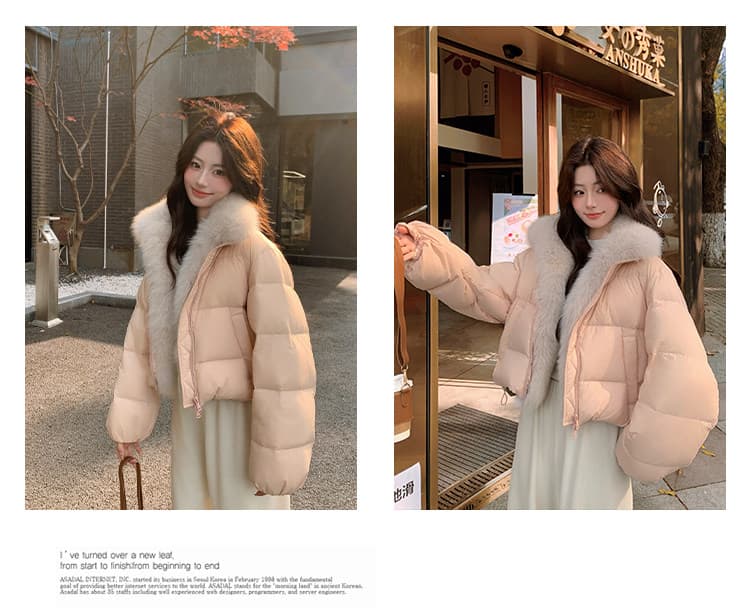 학원 패치워크 쇼트 스타일 아래 면화 의류 여성 모방 여우 모피 칼라 루즈핏 두꺼운 작은 키 한국 스타일 빵 외투 상세 이미지 53
