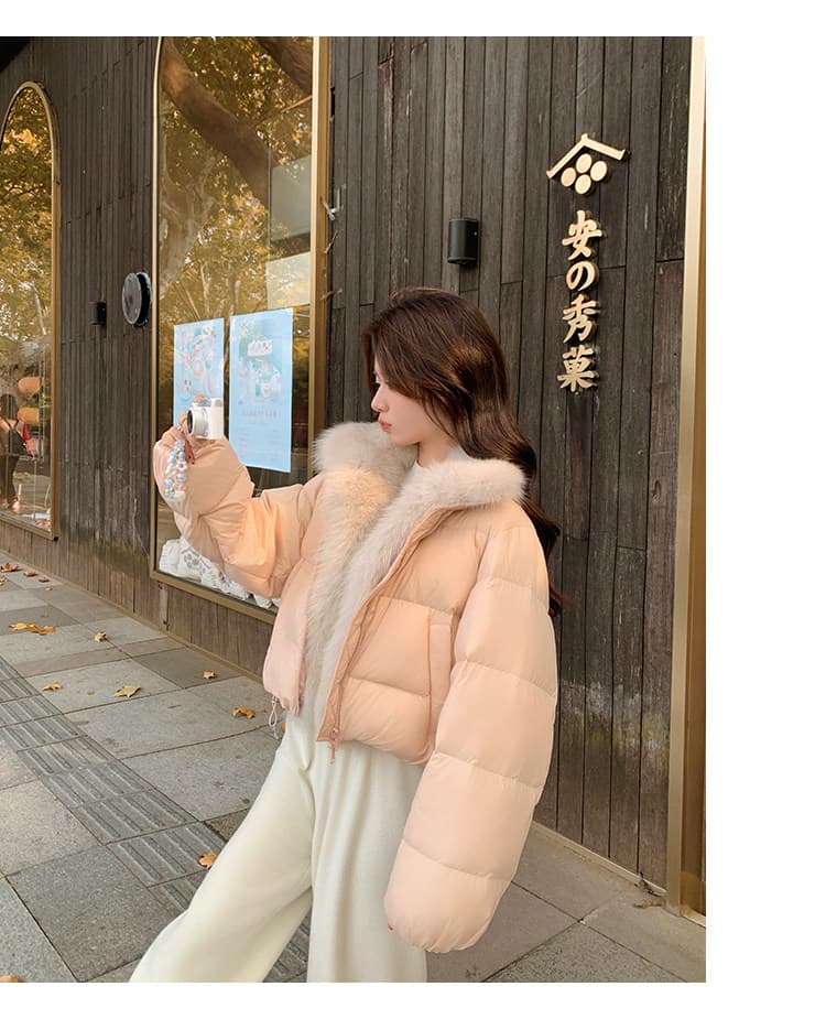 학원 패치워크 쇼트 스타일 아래 면화 의류 여성 모방 여우 모피 칼라 루즈핏 두꺼운 작은 키 한국 스타일 빵 외투 상세 이미지 54