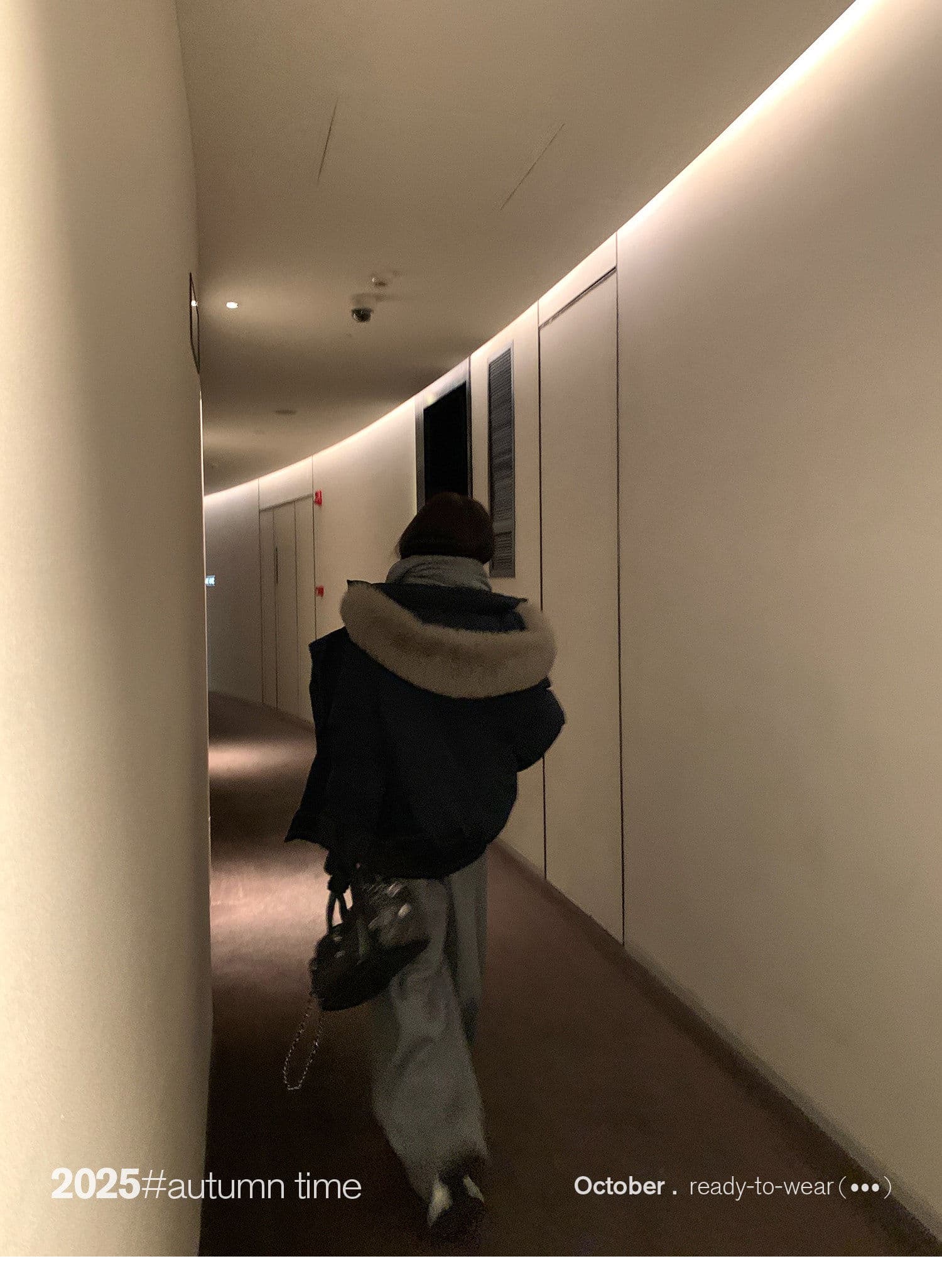 snoneone 블루스 순간 여우 모피 칼라 쇼트 스타일 자이언트 잘 생긴 아래 면화 의류 여자 작은 키 재킷 상세 이미지 77