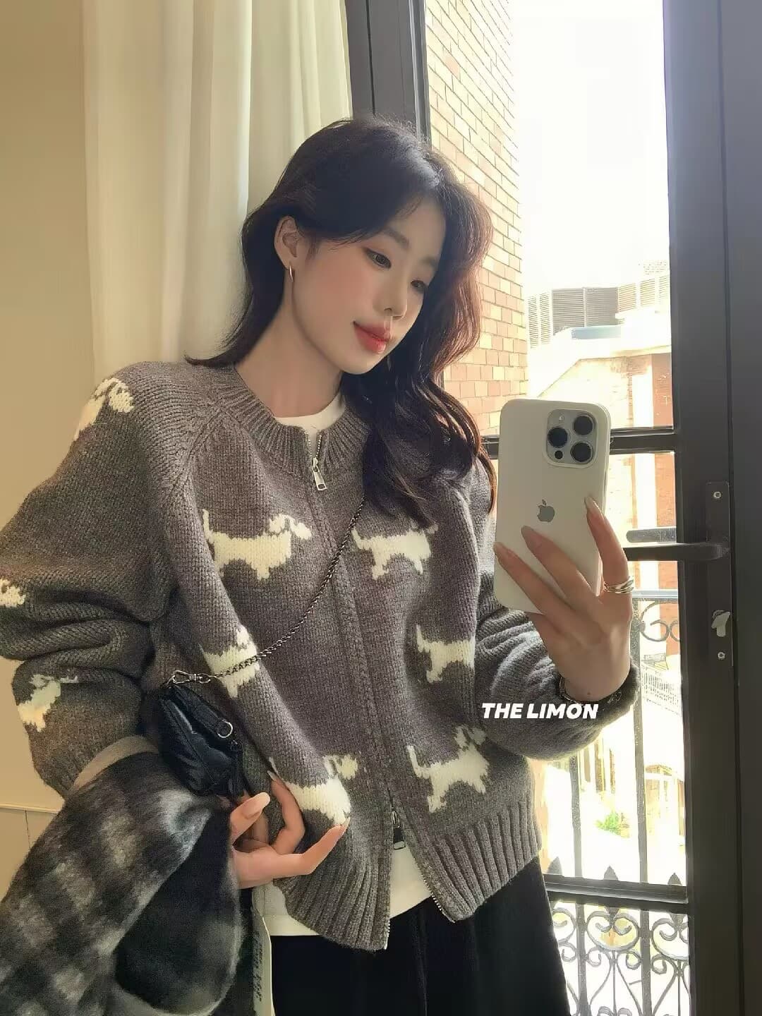 가을 겨울 한국 스타일 만화 강아지 자카드 더블 지퍼 루즈핏 연령 감소 스웨터 니트 카디건 코트 상세 이미지 4