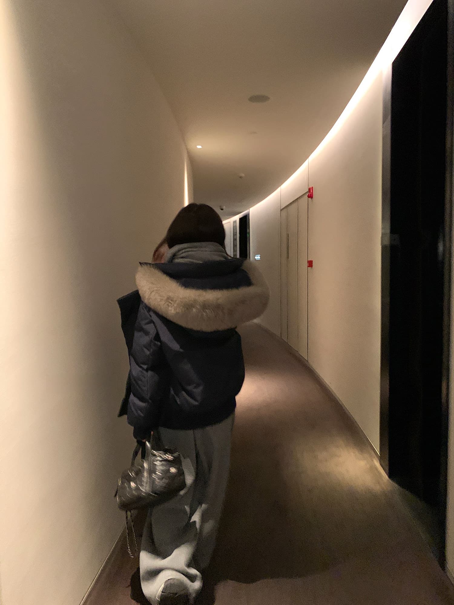 sunoneone 블루스 순간 여우 모피 칼라 쇼트 스타일 자이언트 잘 생긴 아래 면화 의류 여자 작은 키 재킷 이미지 3