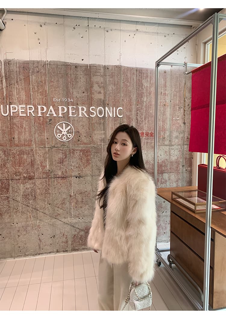 겨울 새로운 와니 안 중년 환경 보호 너구리 모피 모피 코트 여성 짧은 슬림해 보이는 모방 모피 여성 코트 상세 이미지 24