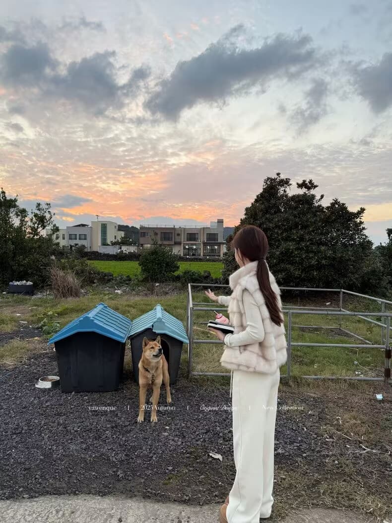 환경 보호 모방 fall 털 모피 베스트 겨울 보온 스탠드 칼라 민소매 플리스 한국 스타일 조끼 여성 코트 상세 이미지 11