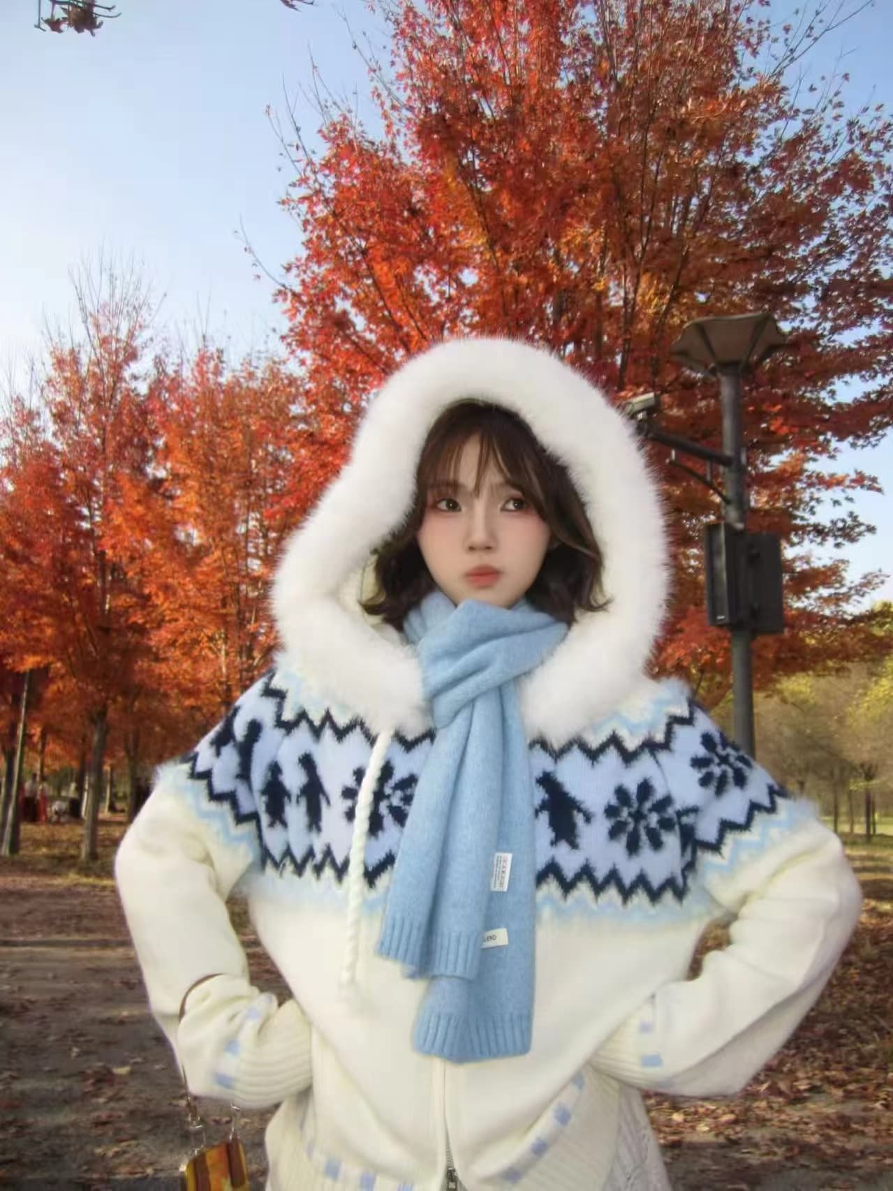 한 부서 레트로 공정한 섬 모피 칼라 니트 스웨터 오픈 가디건 지퍼 스웨터 여성 코트 가을 착용 가져 가라. 고급 센스 맨위 상세 이미지 12