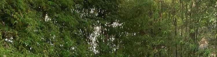 와 사고 방식 황색 복숭아 심장 고리 반팔 티셔츠 여성 여름 몸매 가꾸기 슬림해 보이는 섹시함 핫걸 쇼트 스타일 맨위 상세 이미지 17