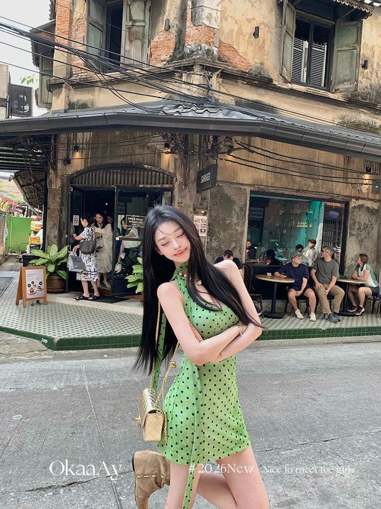 폴리 에스터 인터넷 원단 네리 에덴 여행 프랑스식 레트로 휴가 바람 도트 무늬 행침 목 V넥 꼬집기 허리 드레스 상세 이미지 2