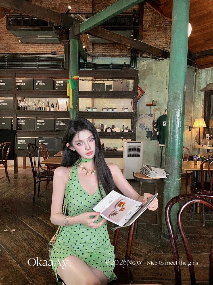 폴리 에스터 인터넷 원단 네리 에덴 여행 프랑스식 레트로 휴가 바람 도트 무늬 행침 목 V넥 꼬집기 허리 드레스 상세 이미지 8