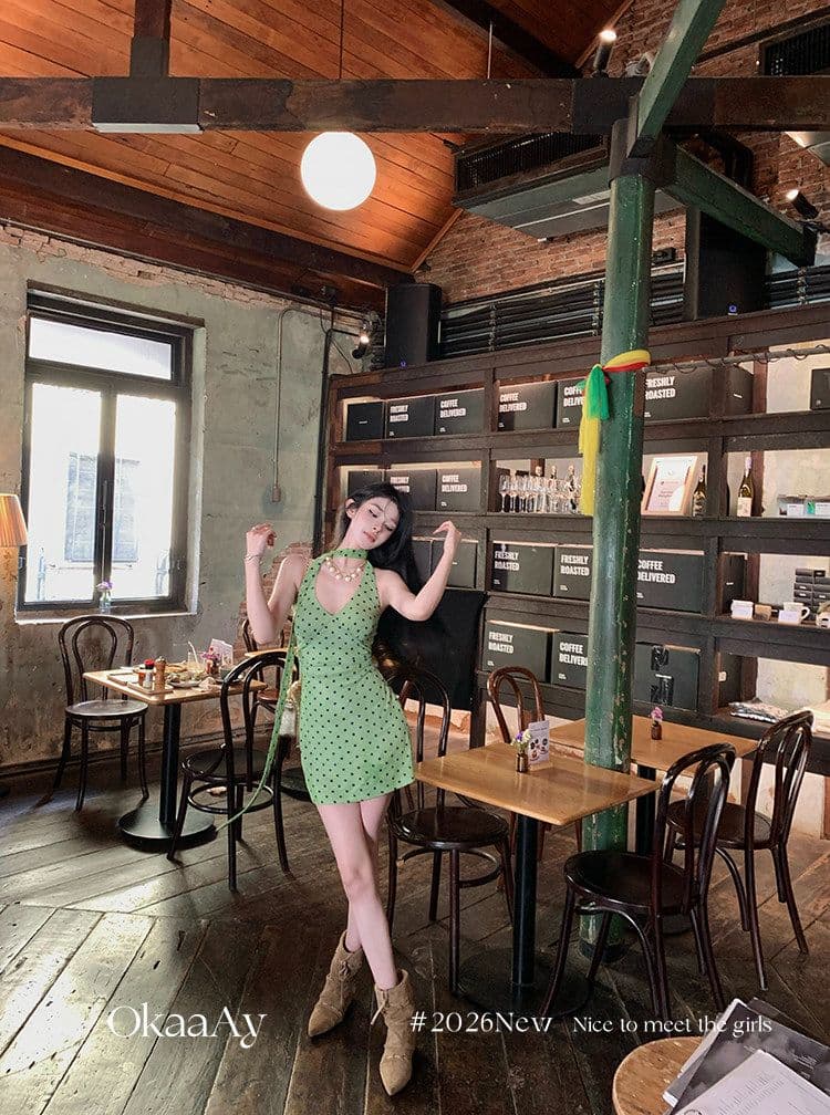폴리 에스터 인터넷 원단 네리 에덴 여행 프랑스식 레트로 휴가 바람 도트 무늬 행침 목 V넥 꼬집기 허리 드레스 상세 이미지 14