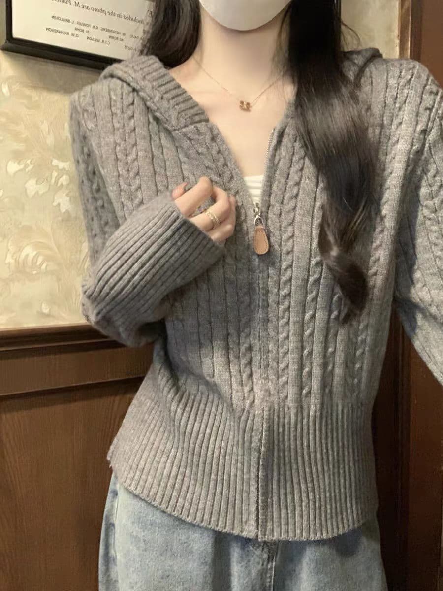 한 부서 꽈배기 부드러운 찹쌀 후드 스웨터 여성 코트 가을 슈퍼 잘 생긴 지퍼 니트 오픈 가디건 몸매 가꾸기 쇼트 스타일 맨위 이미지 2