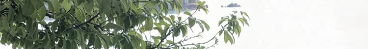 프랑스식 오프숄더 V넥 몸매 가꾸기 타이트 스커트 녹색 점프 슈트 치마 섹시함 순수한 욕망 롱 스커트 휴가 바람 해변가 착용 가져 가라. 상세 이미지 32