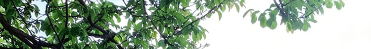 프랑스식 오프숄더 V넥 몸매 가꾸기 타이트 스커트 녹색 점프 슈트 치마 섹시함 순수한 욕망 롱 스커트 휴가 바람 해변가 착용 가져 가라. 상세 이미지 41