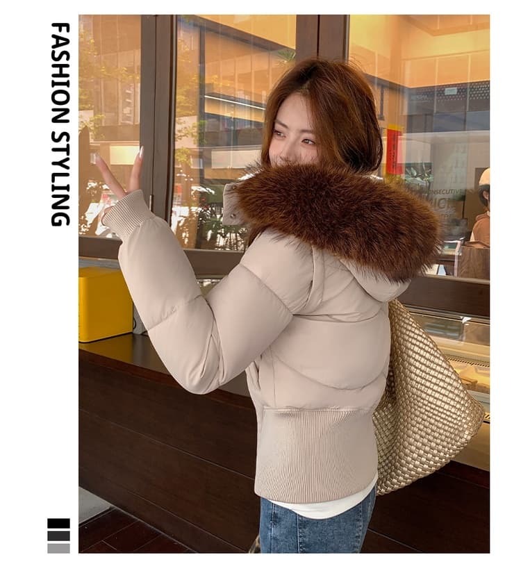 아메리칸 모피 칼라 후드 아래 면화 의류 여성 겨울 새로운 두꺼운 한국 스타일 허리 수축 쇼트 스타일 작은 코튼 외투 상세 이미지 26