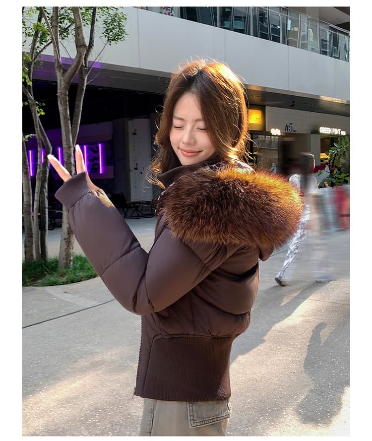 아메리칸 모피 칼라 후드 아래 면화 의류 여성 겨울 새로운 두꺼운 한국 스타일 허리 수축 쇼트 스타일 작은 코튼 외투 상세 이미지 58
