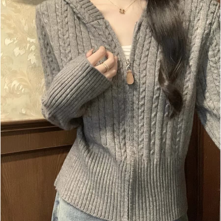 앤디 플러시 꽈배기 후드 두꺼운 지퍼 스웨터 오픈 가디건 여성 코트 이른 봄 고급 센스 부드러운 찹쌀 니트 스웨터 맨위 이미지 5