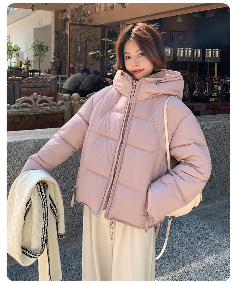 겨울 새로운 탈착식 큰 모피 칼라 아래 면화 의류 여성 짧은 한국 스타일 루즈핏 면 옷 고급 센스 착용 가져 가라. 재킷 상세 이미지 36