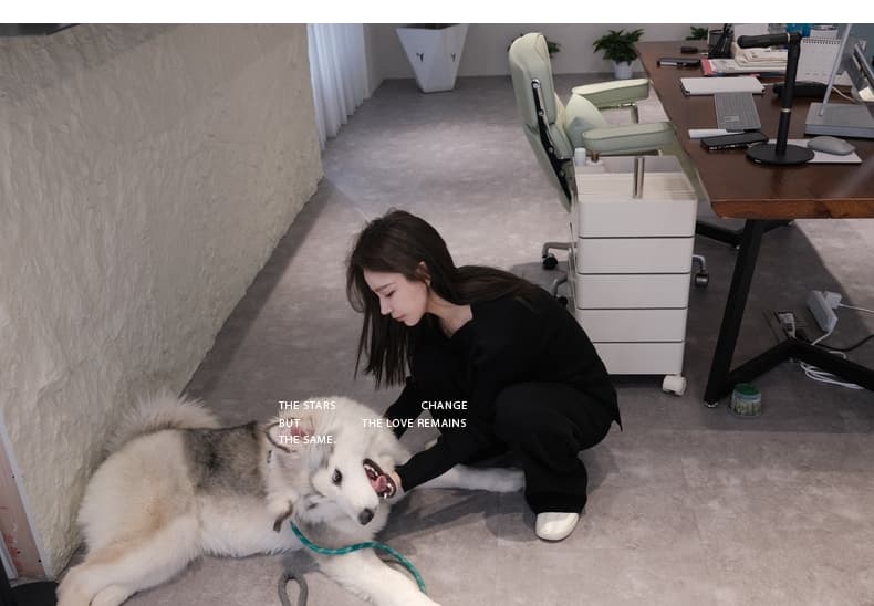 lilylikes 종이 사람들 좋은 구덩이 기사 오래된 돈 털 셔츠 긴 바지 투피스 슈트 상세 이미지 2