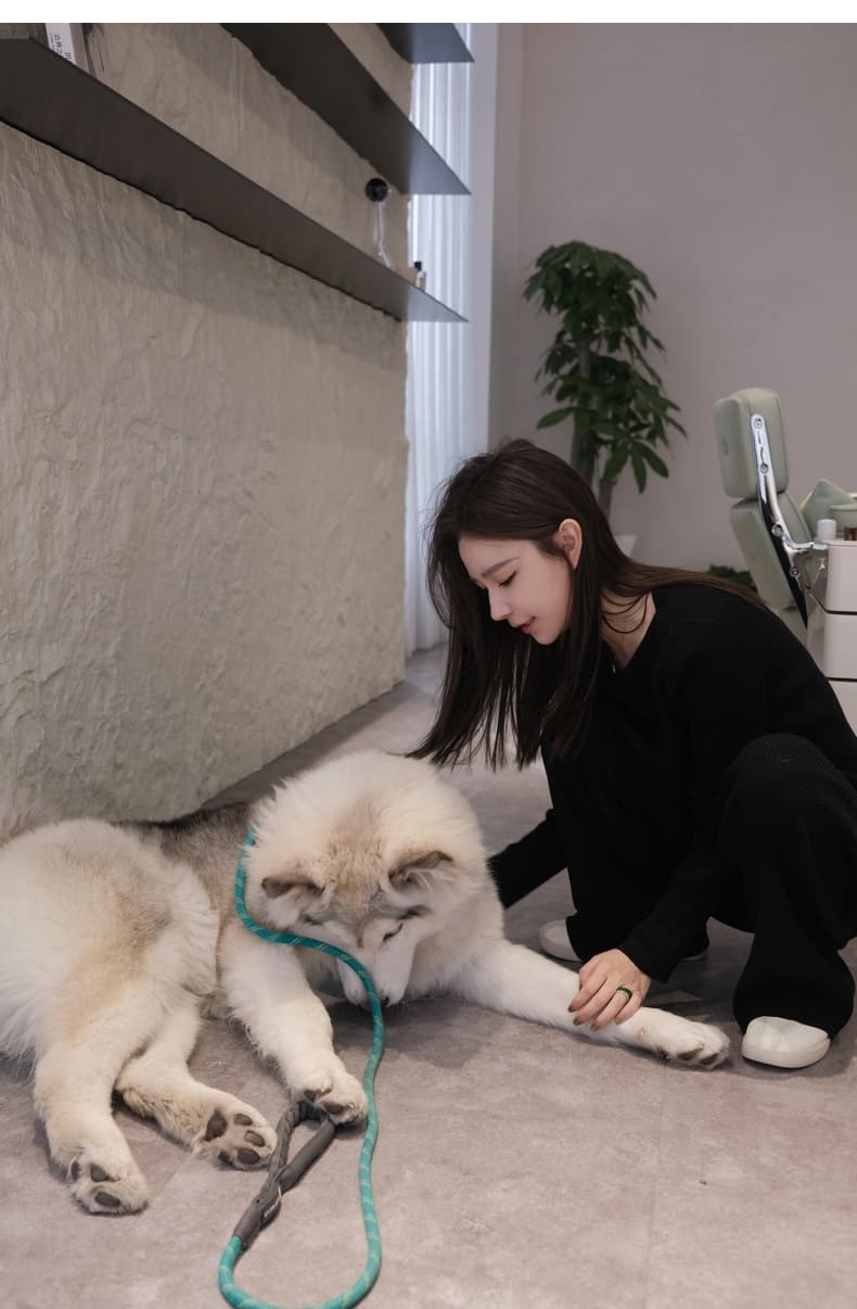 lilylikes 종이 사람들 좋은 구덩이 기사 오래된 돈 털 셔츠 긴 바지 투피스 슈트 상세 이미지 22