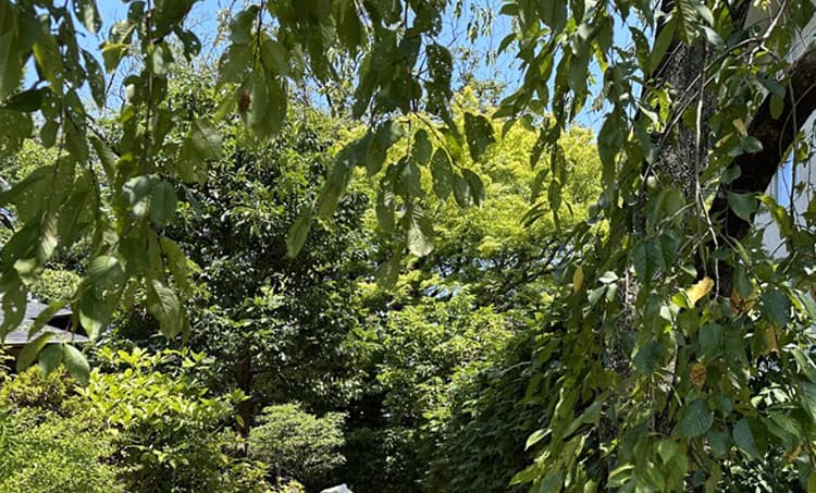 지금 임산부 없음 복부 지지 반신 스커트 가을 겨울철 새로운 니트 양모 슬림해 보이는 품격 프랑스식 도루 센스 한 마디 롱 스커트 상세 이미지 48
