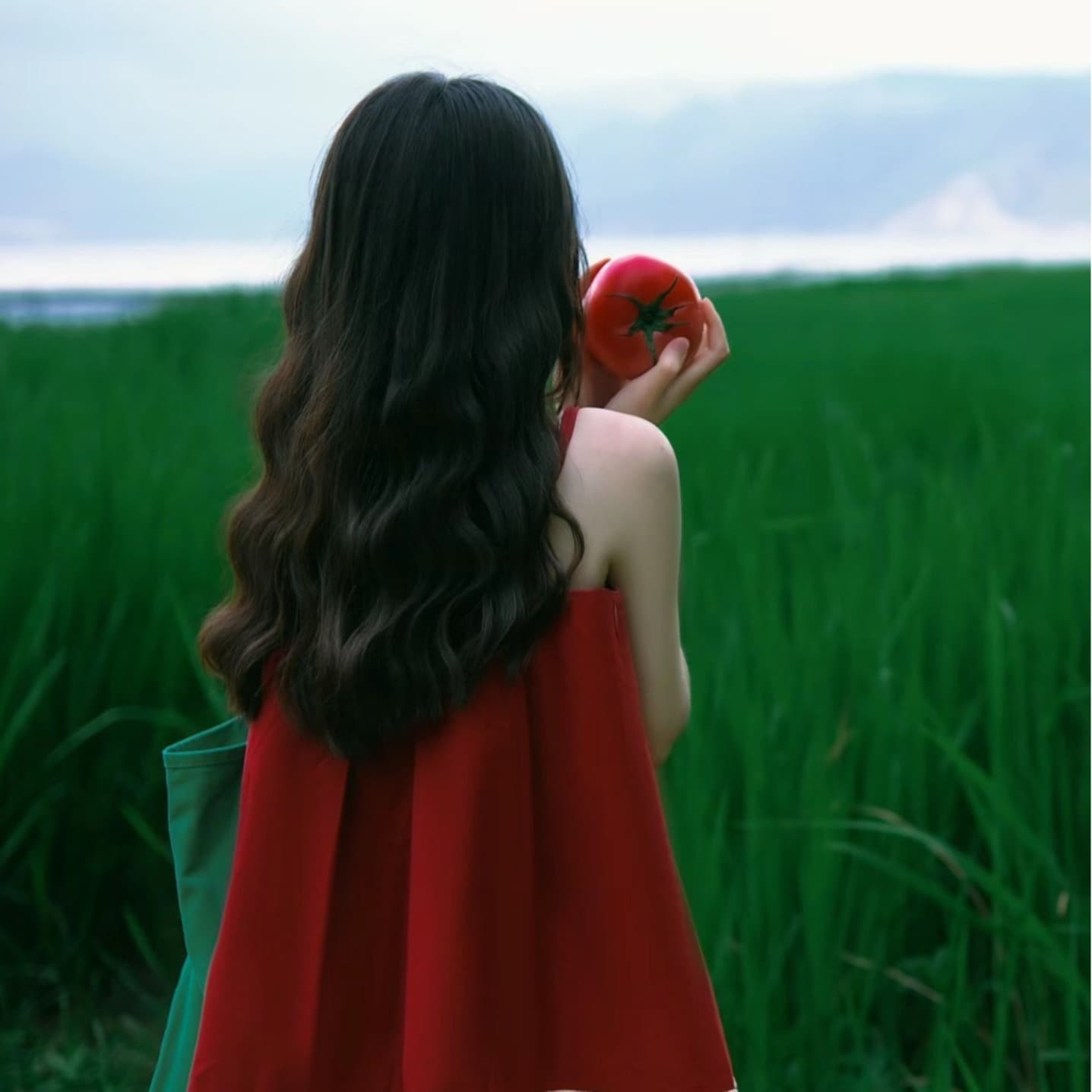 휴가 바람 레이스 조각 작은 슬링 여성 여름 디자인 센스 작은 대중 레이스업 Chic 루즈핏 작은 달콤함 조끼 세트 이미지 5