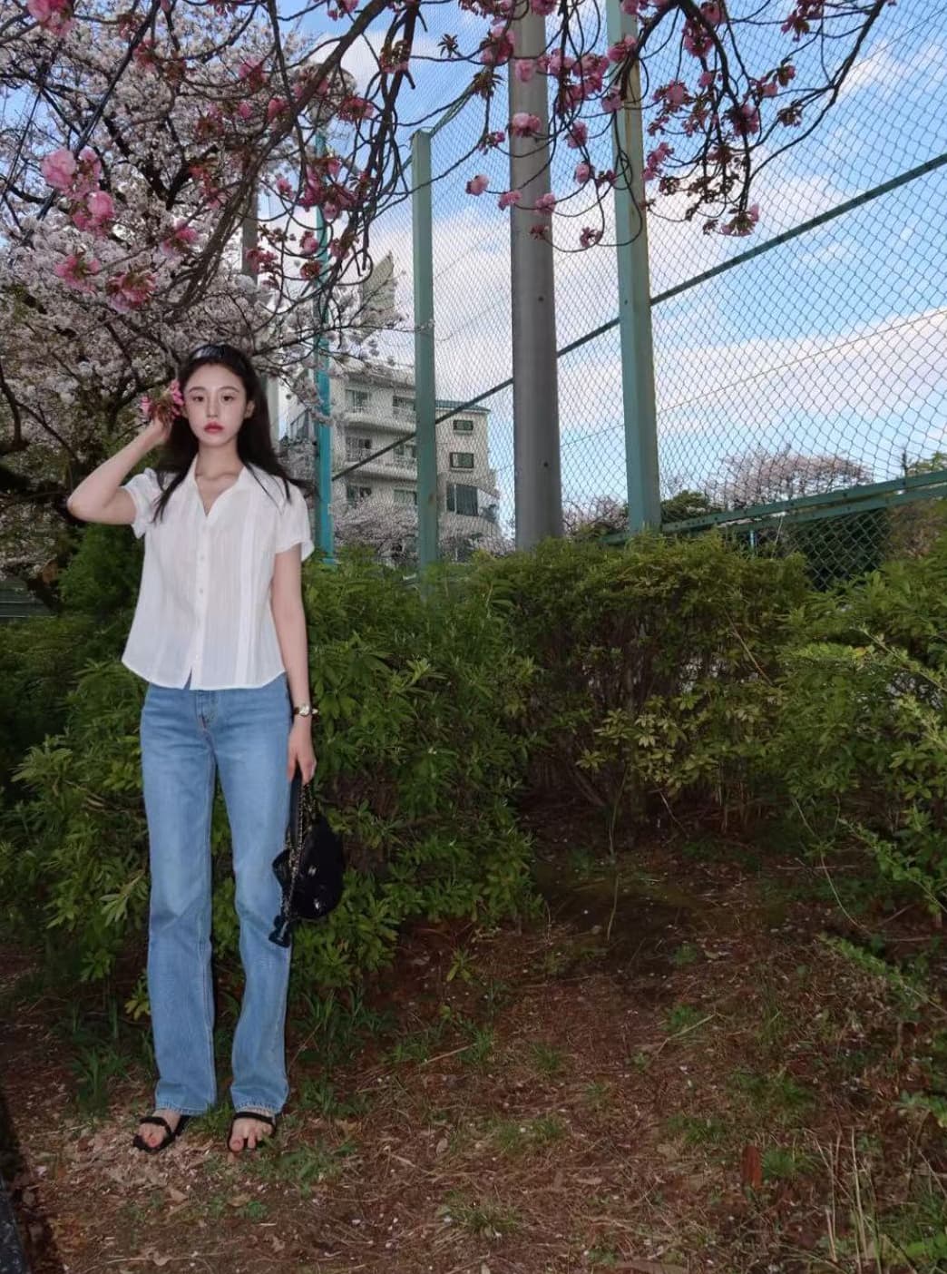 크기 있음 업데이트 한국 b ack p 원 ins 수직 곡물 마이크로 허리 수축 POLO 칼라 품격 반팔 셔츠 상세 이미지 2