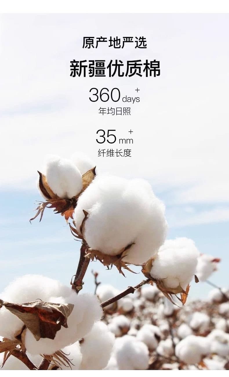 2026 년 새로운 순면 호박 프린트 여름 작은 대중 연령 감소 반팔 티셔츠 여성 상세 이미지 3