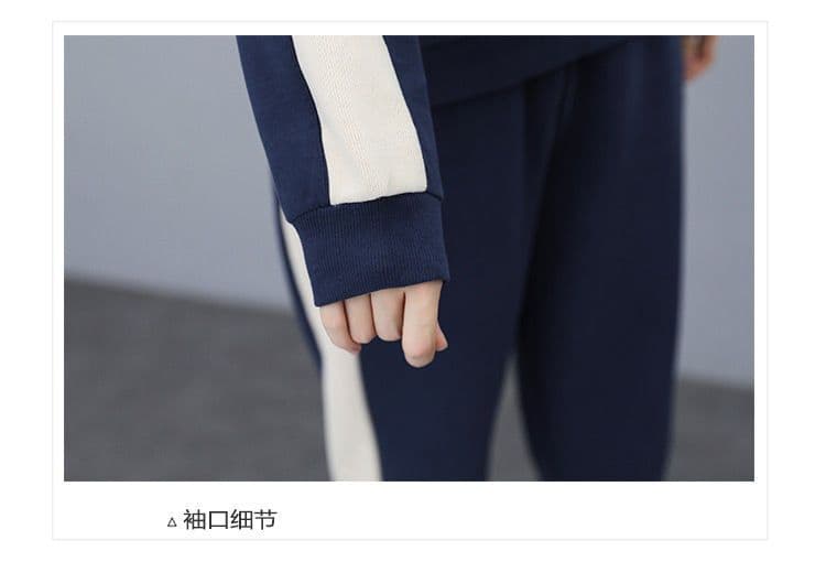 두꺼운 털이 있는 스포츠 슈트 여성 가을 겨울 새로운 긴팔 후드티 캐주얼 투피스 세트 상세 이미지 11