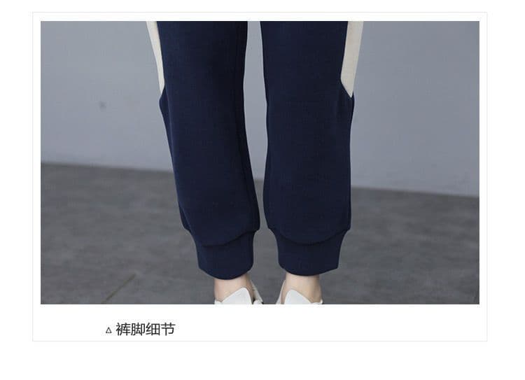 두꺼운 털이 있는 스포츠 슈트 여성 가을 겨울 새로운 긴팔 후드티 캐주얼 투피스 세트 상세 이미지 12