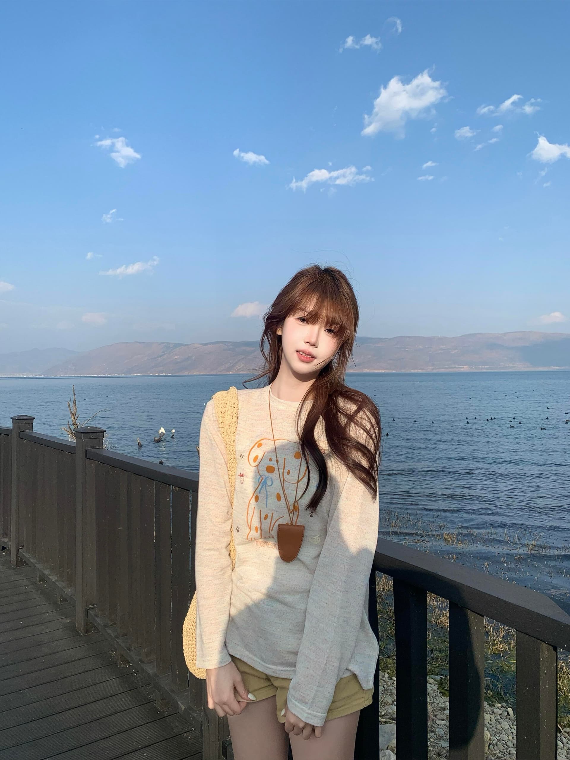아메리칸 레트로 26ss 멩 이자 달마 시안 프린트 라운드 넥 긴팔 루즈핏 느긋한 바람 캐주얼 티셔츠 여성 셔츠 트렌디