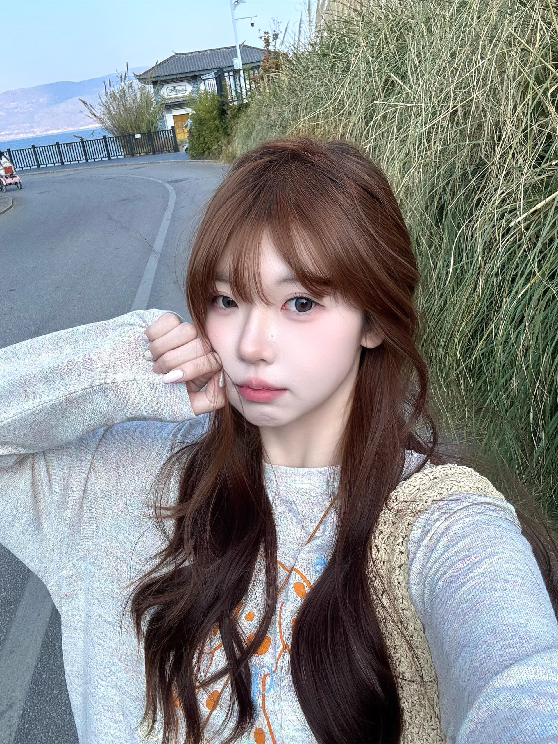 아메리칸 레트로 26ss 멩 이자 달마 시안 프린트 라운드 넥 긴팔 루즈핏 느긋한 바람 캐주얼 티셔츠 여성 셔츠 트렌디 상세 이미지 2