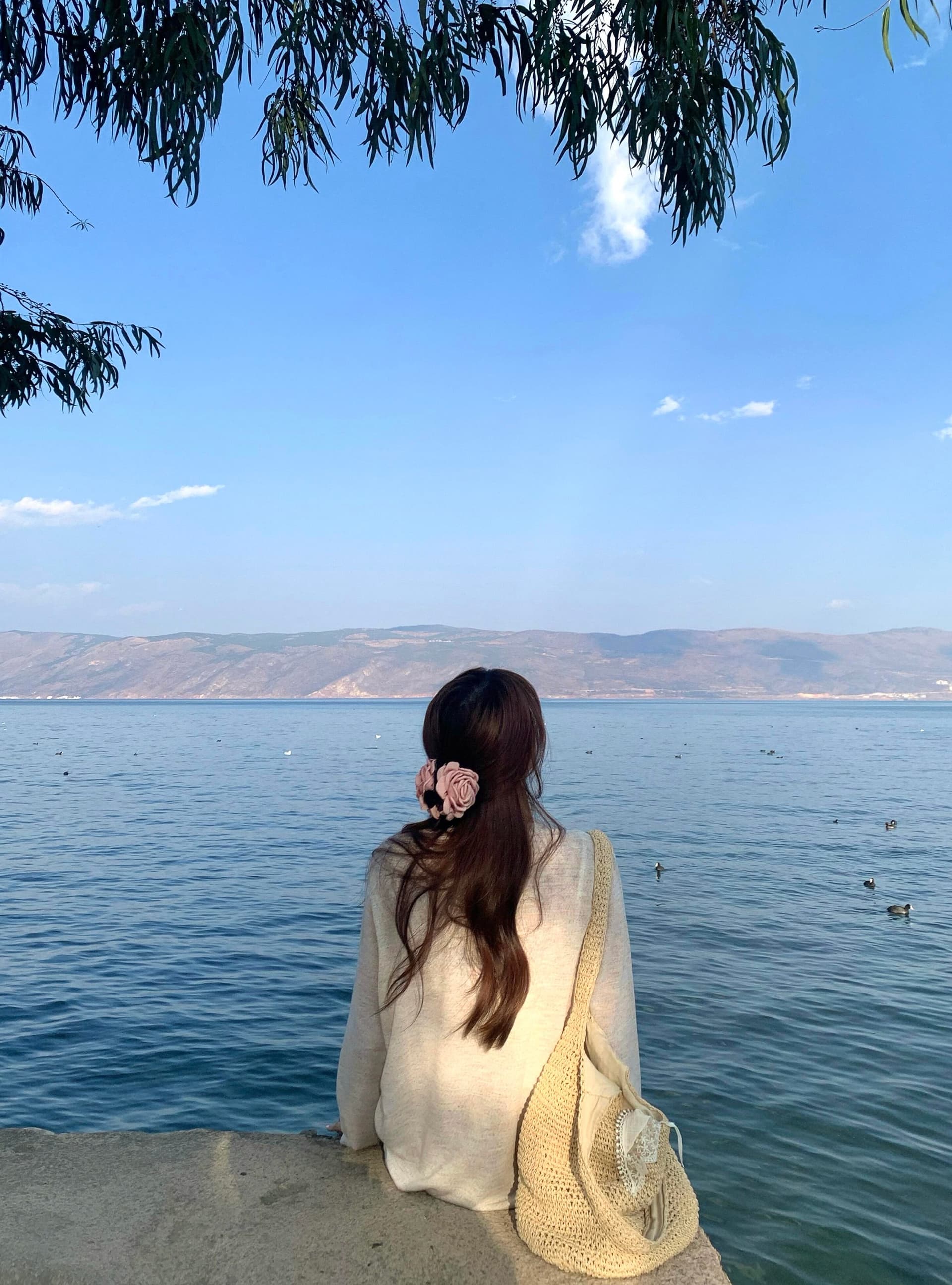 아메리칸 레트로 26ss 멩 이자 달마 시안 프린트 라운드 넥 긴팔 루즈핏 느긋한 바람 캐주얼 티셔츠 여성 셔츠 트렌디 상세 이미지 4