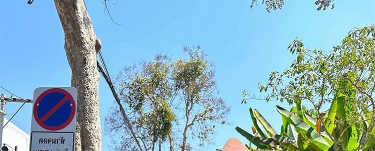 지금 임산부 한 부서 폭발 도트 무늬 디자인 센스 쉬폰 복부 지지 반신 치마 상세 이미지 32