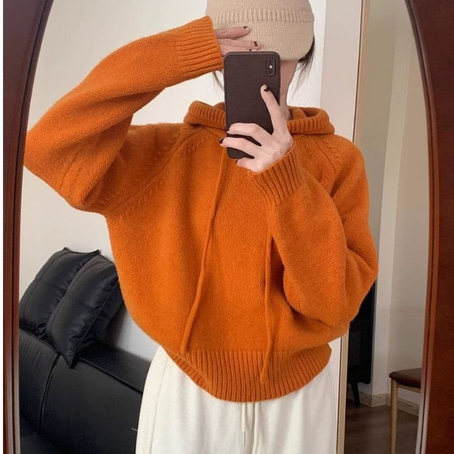 느긋한 바람 후드 캐주얼 루즈핏 고급 센스 두꺼운 스웨터 여자 가을 겨울 새로운 한국 스타일 쇼트 스타일 니트 맨위 트렌디