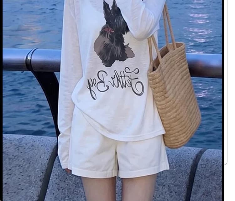 신제품 지금 봄 가을 프랑스식 패션 프린트 자외선 차단 티셔츠 블라우스 넓은 다리가 짧다. 바지 캐주얼 투피스 세트 상세 이미지 5