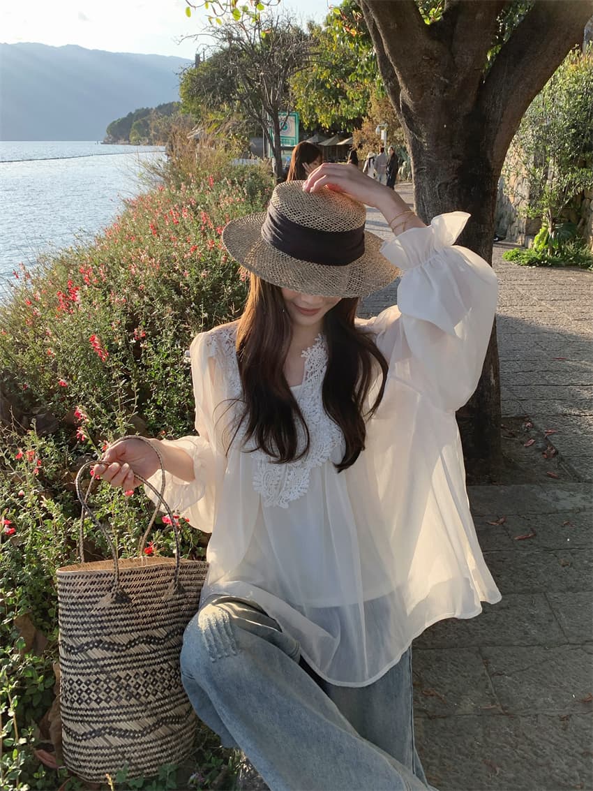 실사 정가 dara 한국 2026 조기 가을 새로운 프랑스식 무거운 작업 홀로우 아웃 자수 작은 셔츠 얇은 맨위 상세 이미지 4