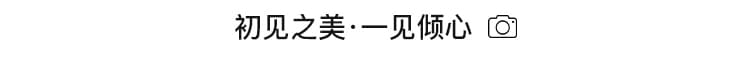 유럽 상품 무거운 작업 플리츠 볼륨 측면 꽃잎 망사 반신 스커트 슈퍼 요정 주름 질감 센스 플리츠 큰 진자 레이스 롱 스커트 상세 이미지 18