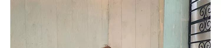 2026 여름 chic 달콤한 매운맛 바람 섹시한 여자 여름 체크무늬 아름다움 라드. 레트로 착용 가져 가라. 핫걸 작은 맨위 상세 이미지 10