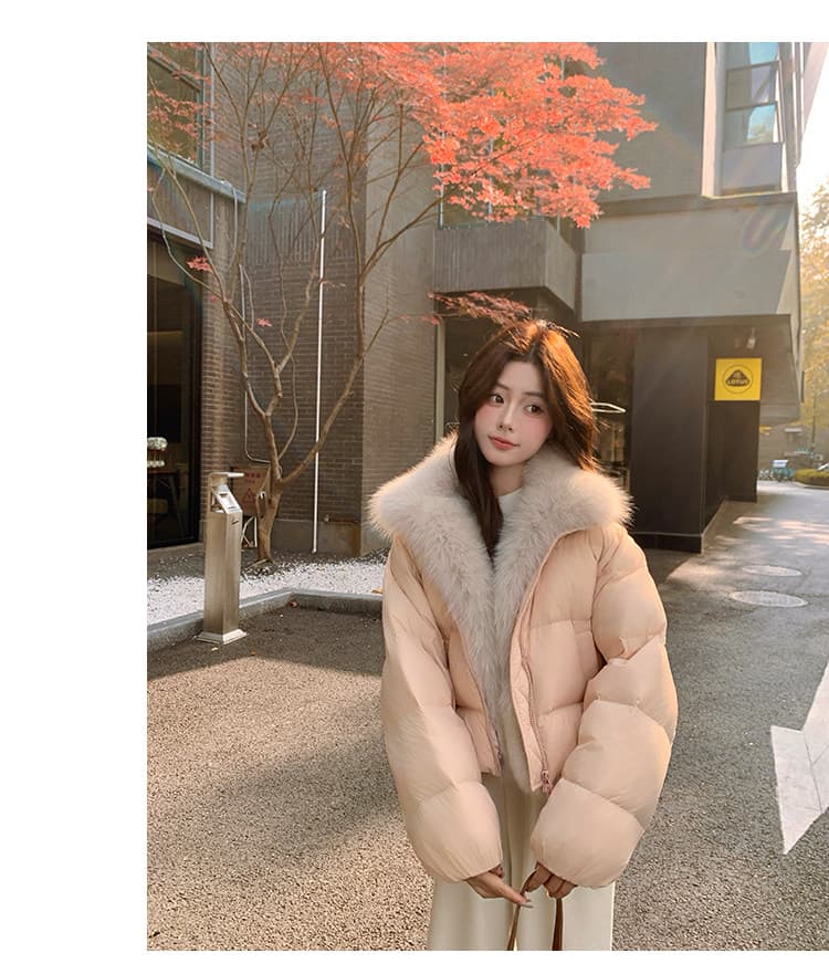 학원 패치워크 쇼트 스타일 아래 면화 의류 여성 모방 여우 모피 칼라 루즈핏 두꺼운 작은 키 한국 스타일 빵 외투 상세 이미지 48