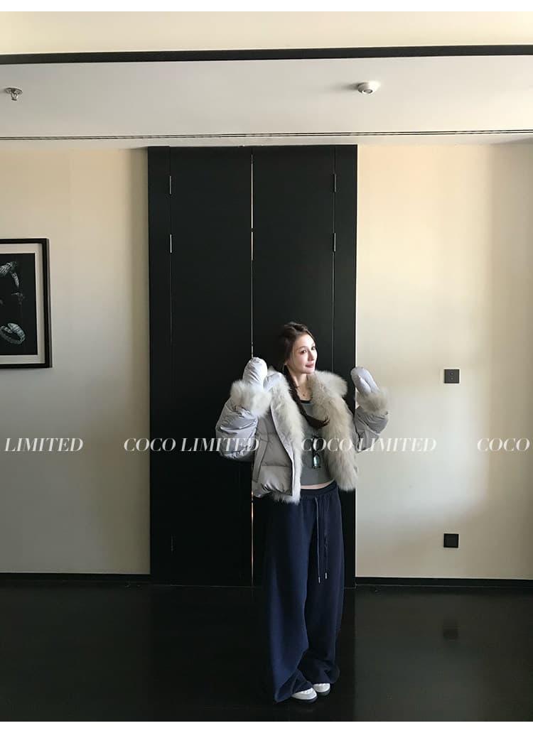 겨울 새로운 쇼트 스타일 아래 면화 의류 여성 모방 여우 모피 칼라 루즈핏 두꺼운 작은 키 한국 스타일 빵 외투 상세 이미지 16