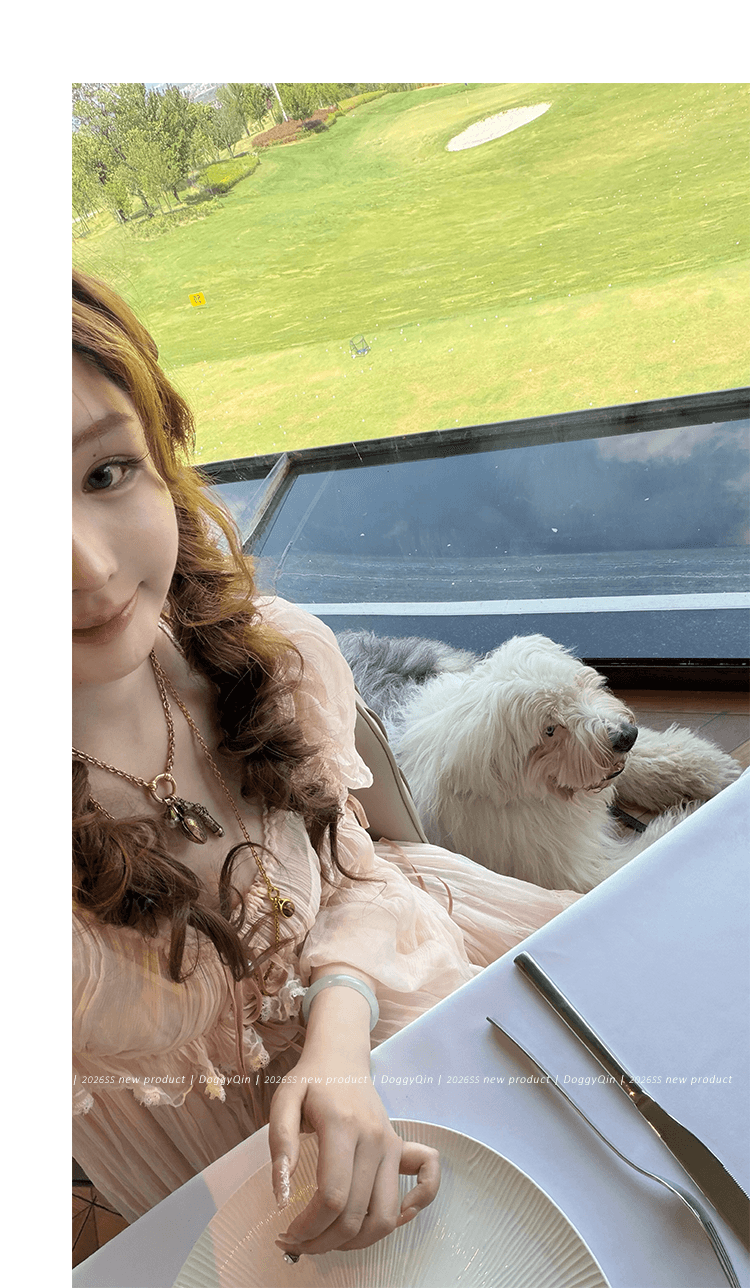 doggyqin bch10e 사설 서비스 보여주기 섹션 분말 안개 놀라다 프릴 거품 소매 쉬폰 블라우스 쇼트 스타일 맨위 상세 이미지 17