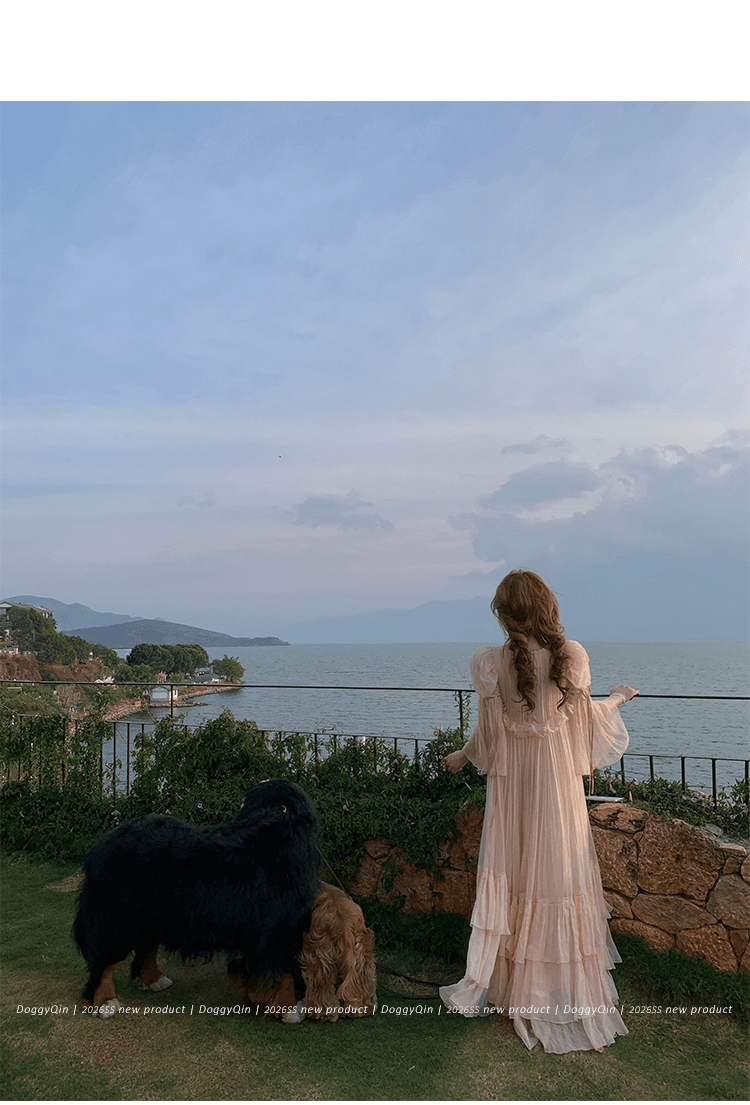 doggyqin bch10e 사설 서비스 보여주기 섹션 분말 안개 놀라다 프릴 거품 소매 쉬폰 블라우스 쇼트 스타일 맨위 상세 이미지 23
