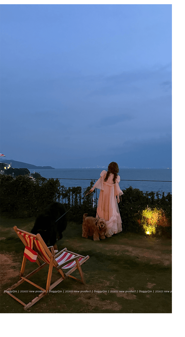 doggyqin bch10e 사설 서비스 보여주기 섹션 분말 안개 놀라다 프릴 거품 소매 쉬폰 블라우스 쇼트 스타일 맨위 상세 이미지 26